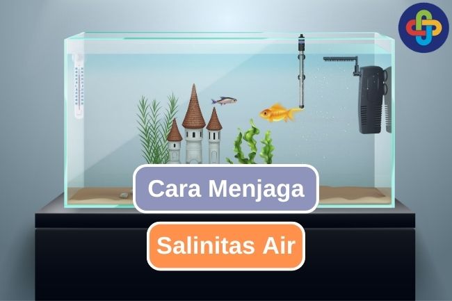 4 Hal yang Perlu Diperhatikan Untuk Menjaga Salinitas Aquascape